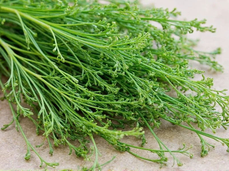 What Is Dry Dill? Definition, Uses & Substitution Guide
