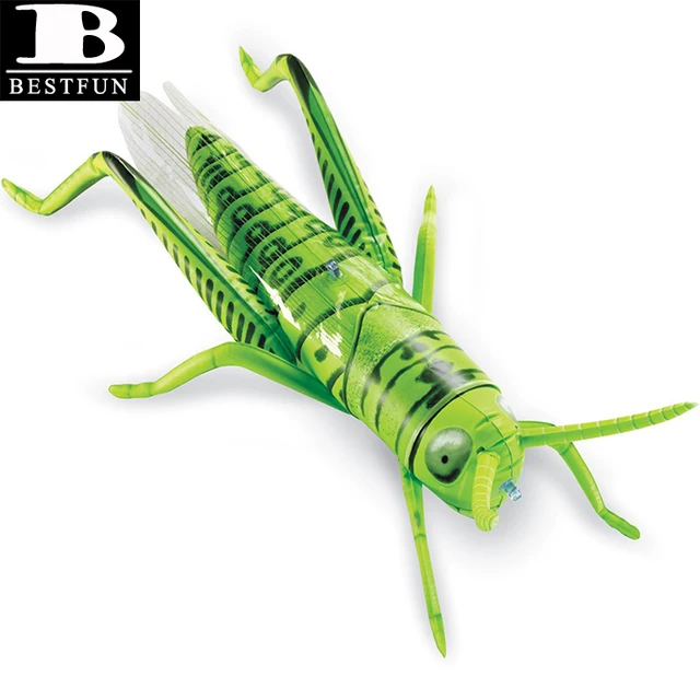 jumping grasshopper toy