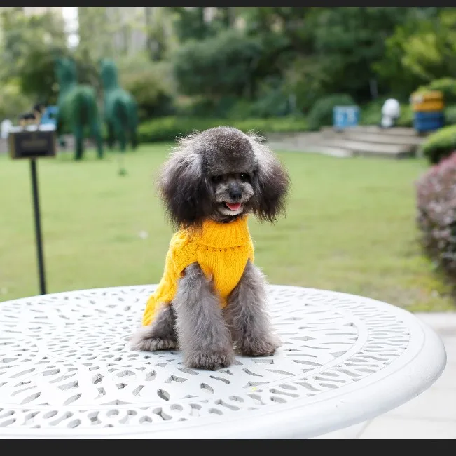 

oem beijing new design cotton dog jumpsuit for winter