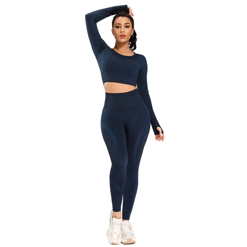 

Autumn winter long sleeve quick-drying breathable seamless high waist yoga suit, Black, gray, blue, pink