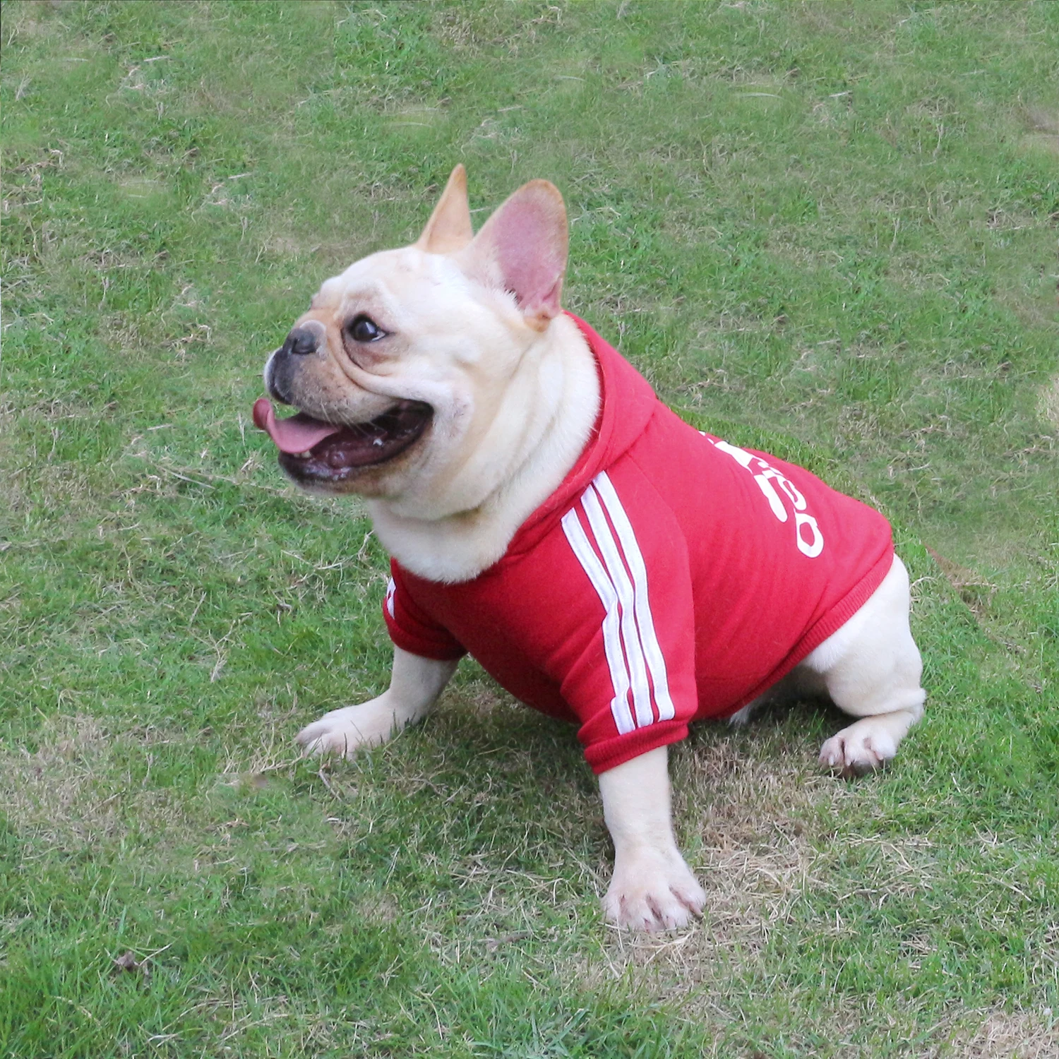 Dog Clothes Winter Pet Clothing Chihuahua Ropa Perro French Bulldog Coat Shirt Solid Sweatshirt For Dogs Pets Costume