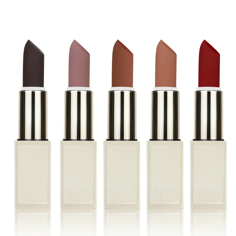 

Wholesale high quality Matte lipstick LongLasting lipstick Custom your own private label, 5 colors