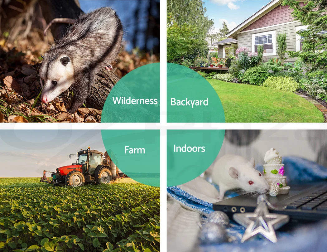 Animal Traps 8.png