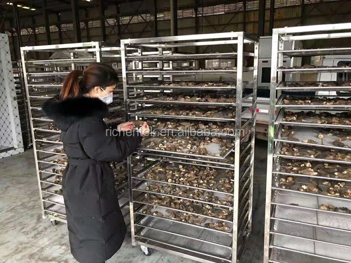 CE approved Professional 60-500kg capacity stainless steel food dehydrator /fruits drying machine for sale