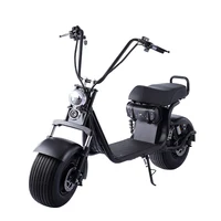 

High Quality 1500W 18*9.5Inch 45Km/H Coco City Scooter