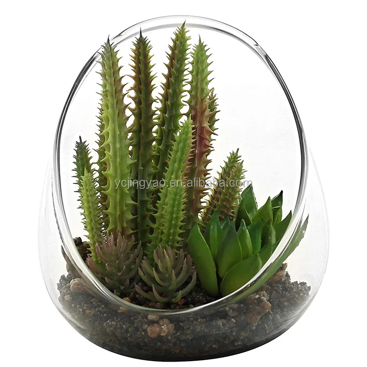 

Slanted Clear Glass Terrarium Vase for Small Artificial Cactus Plants