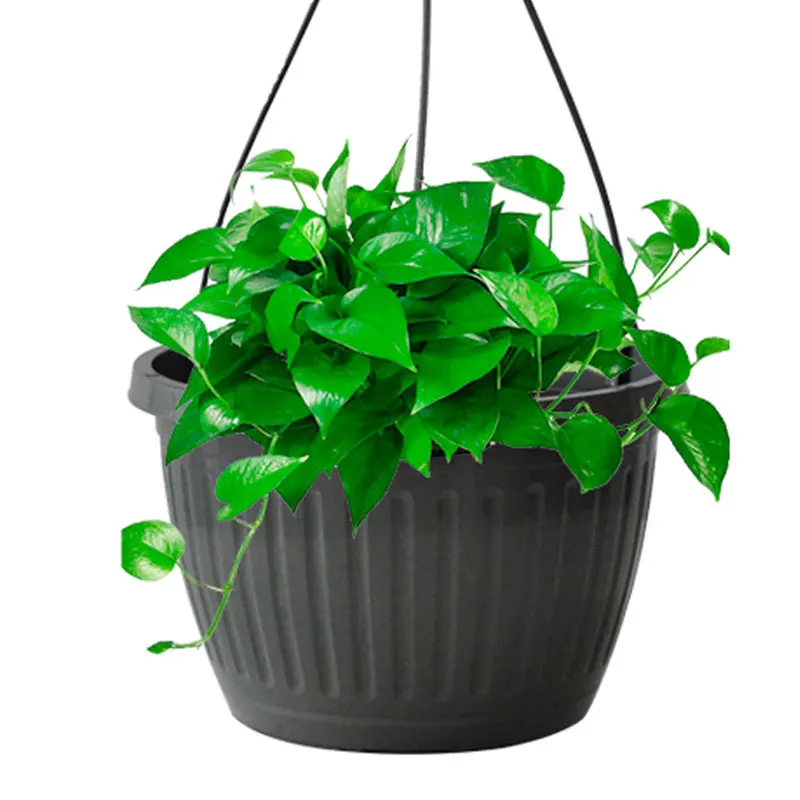 

Ronbo Sunrise Flower Wholesale Garden Decor Plastic Hanging Basket For Plants, As picture or customized