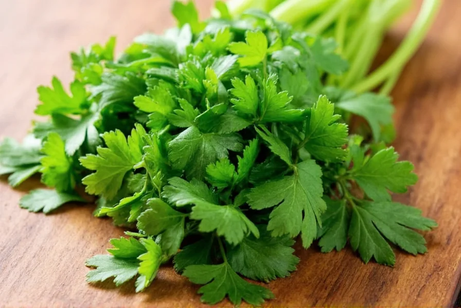 Coriander Substitute Cilantro: What Actually Works