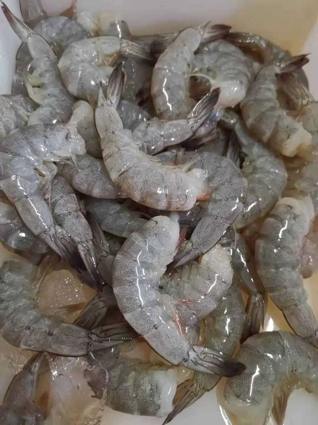 
Frozen vannamei shrimp wholesale and seafood 