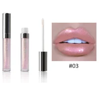 

Custom Label Nude Color 8ml Lip Gloss Tube Transparent Shiny Holographic Lipgloss