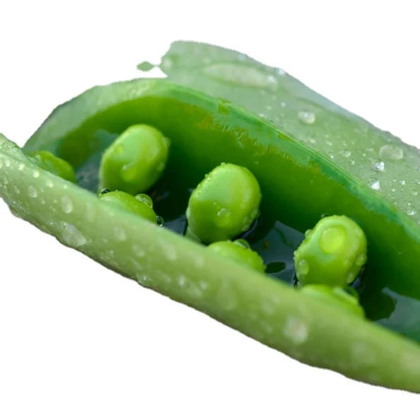 
Highest quality service delicious frozen fresh green peas for sale from china 