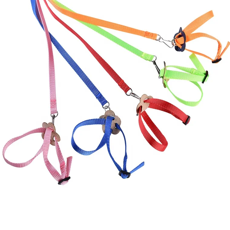 

small animals leash multicolor  bird harness and leash complete set birds harness training Parrot leash