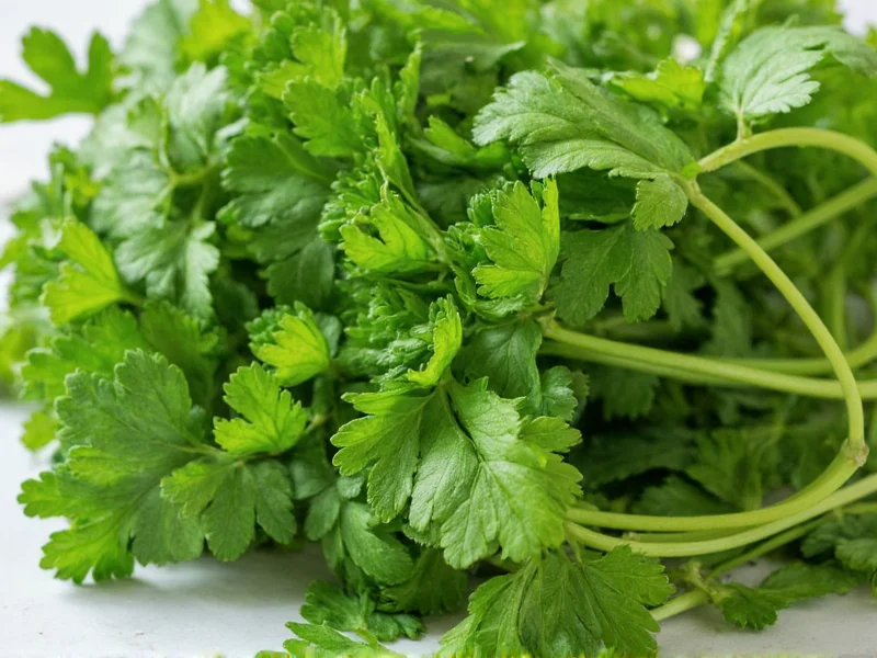 Parsley Fresh to Dried: Conversion Ratio & Drying Guide