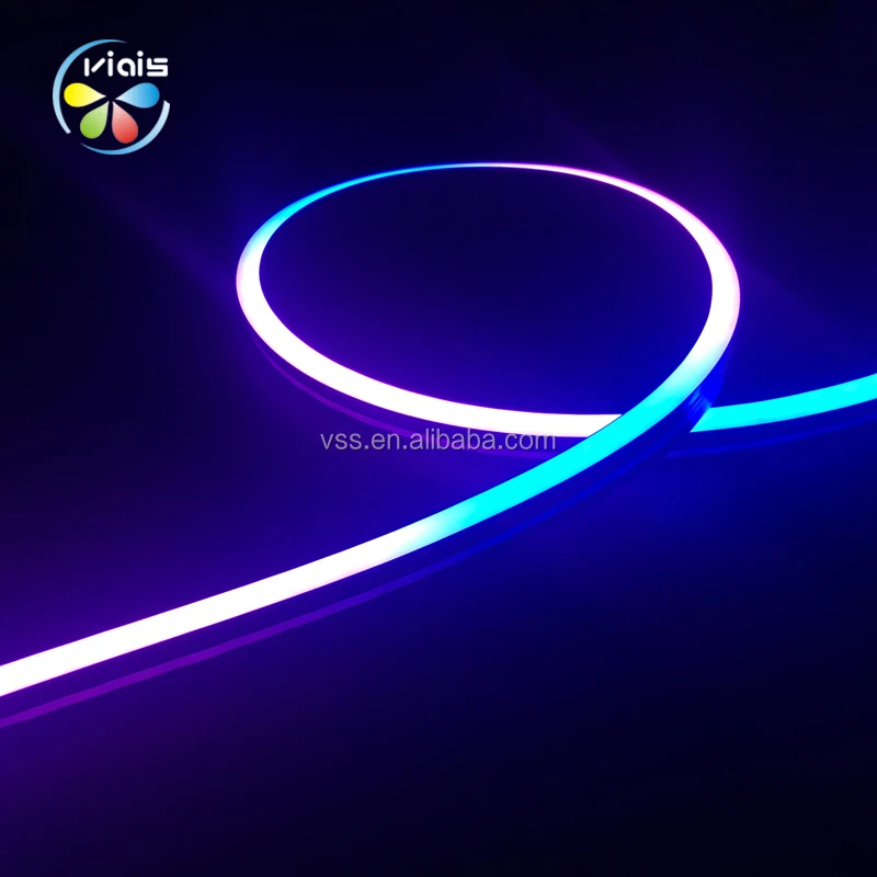 DC12V Programmable Addressable Flexible RGB Neon WS2812B WS2813 5050 Led Strip