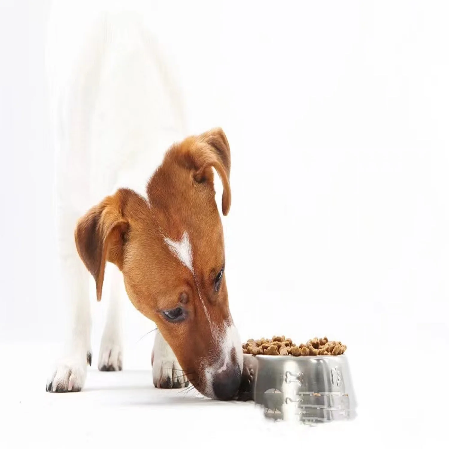 

Best-selling easy-to-digest non-artificial coloring bulk pet food, Natural color