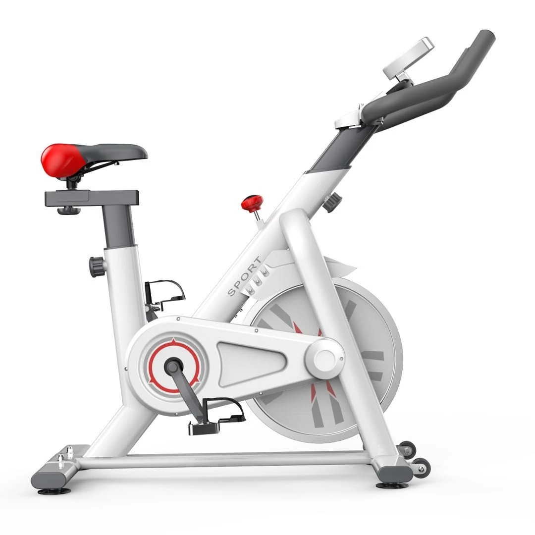 

Exercise Bike Stationary Indoor Cycling Bike For Home Gym Workout Upright Belt Drive Bike