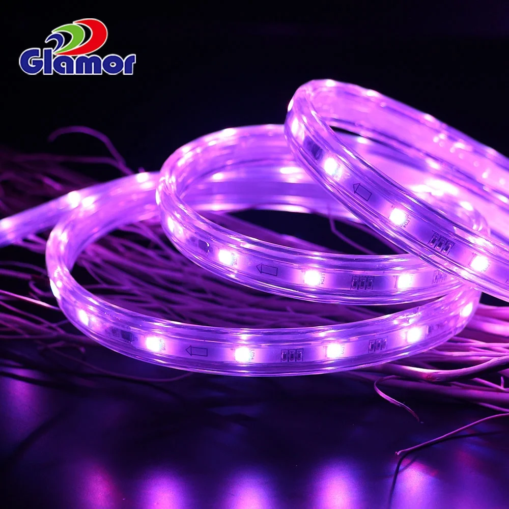 24V Addressable Interactive RGB Led Strip 5050 Full Set For Lampu Led Strip  And  IP65  Waterproof 4 Colour Led Strip