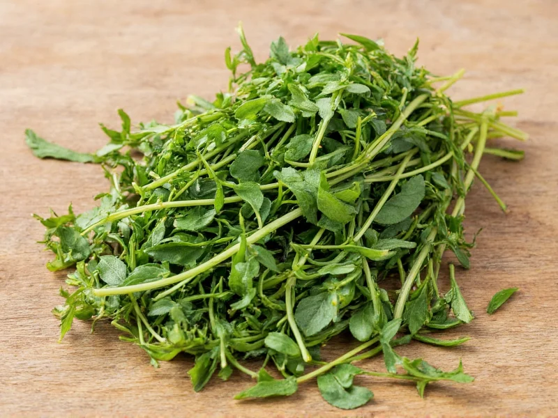 Fresh to Dried Herb Ratio: The 3:1 Conversion Guide