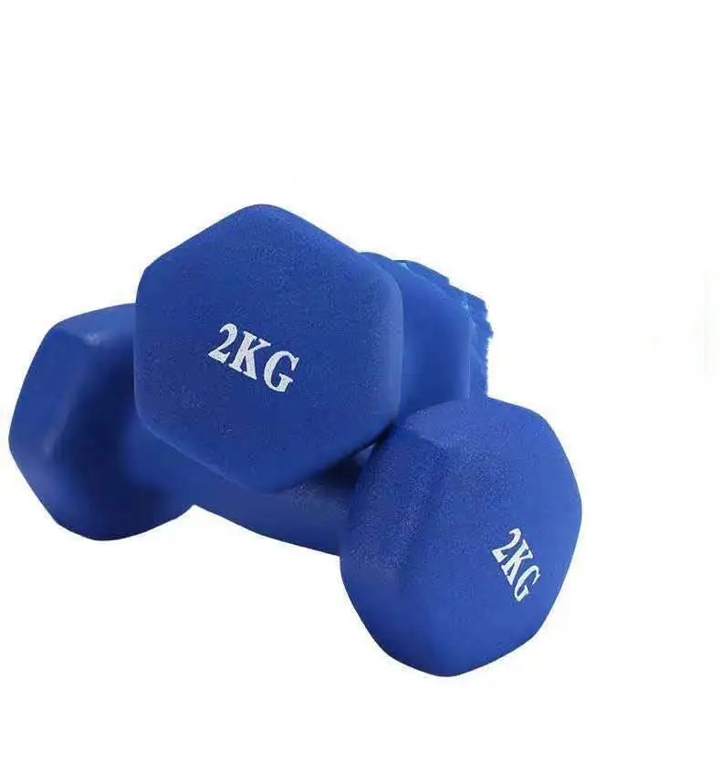 

2KG High Quality Weight Loss Slimming Fitness Equipment cheap hex rubber gym dumbbell