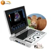 China Vet Ultrasound Laptop Full Digital Cheap Price Dog Cat Ultrasound Machine