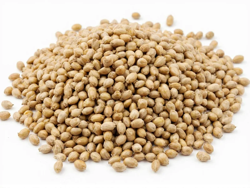 Best Substitutes for Caraway Seeds: Practical Alternatives