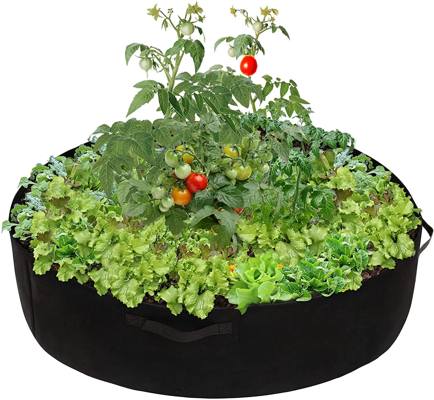

100 Gallon Round Felt Raised Planting Bed Thicken Non Woven Veggie Grow Bags Fabric Garden Plant Grow pots Bed Planter Container, Customized