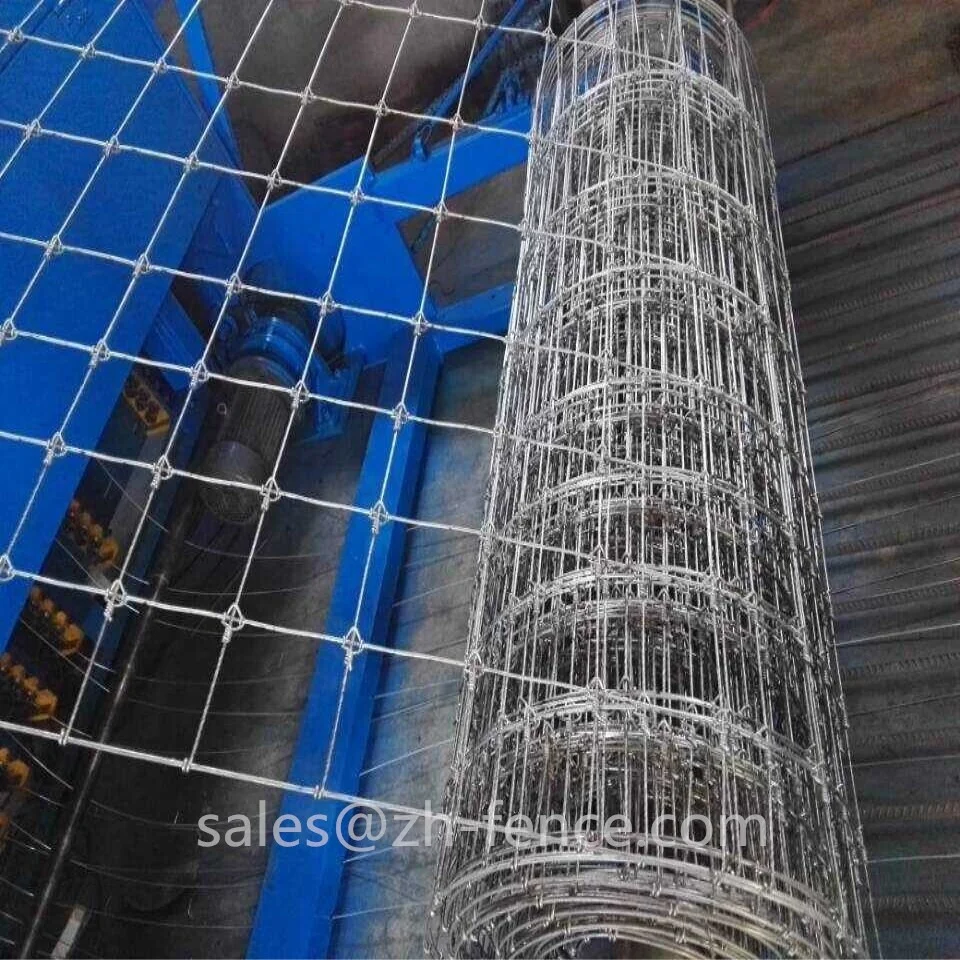 

Hot Dip Galvanized cattle horse fixed knot fence