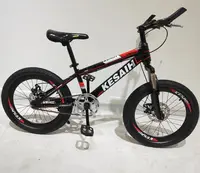 

2019 OEM ODM Bicycle Manufacturer/ Customized Factory MTB Road Fat Folding Children BMX Fixed Gear Bike/Bicycle