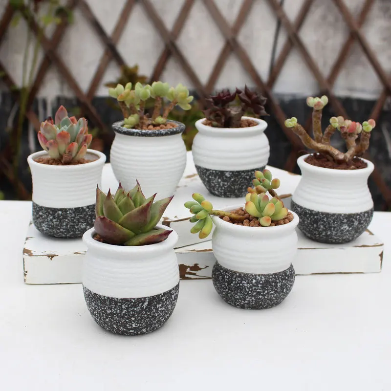 

Cheap Succulent Pot Mini Indoor Ceramic Plant Pots Cheap for Home Decoration, Multi