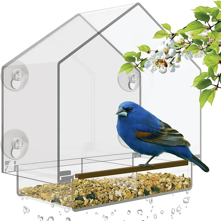 pet cage 2-1.jpg