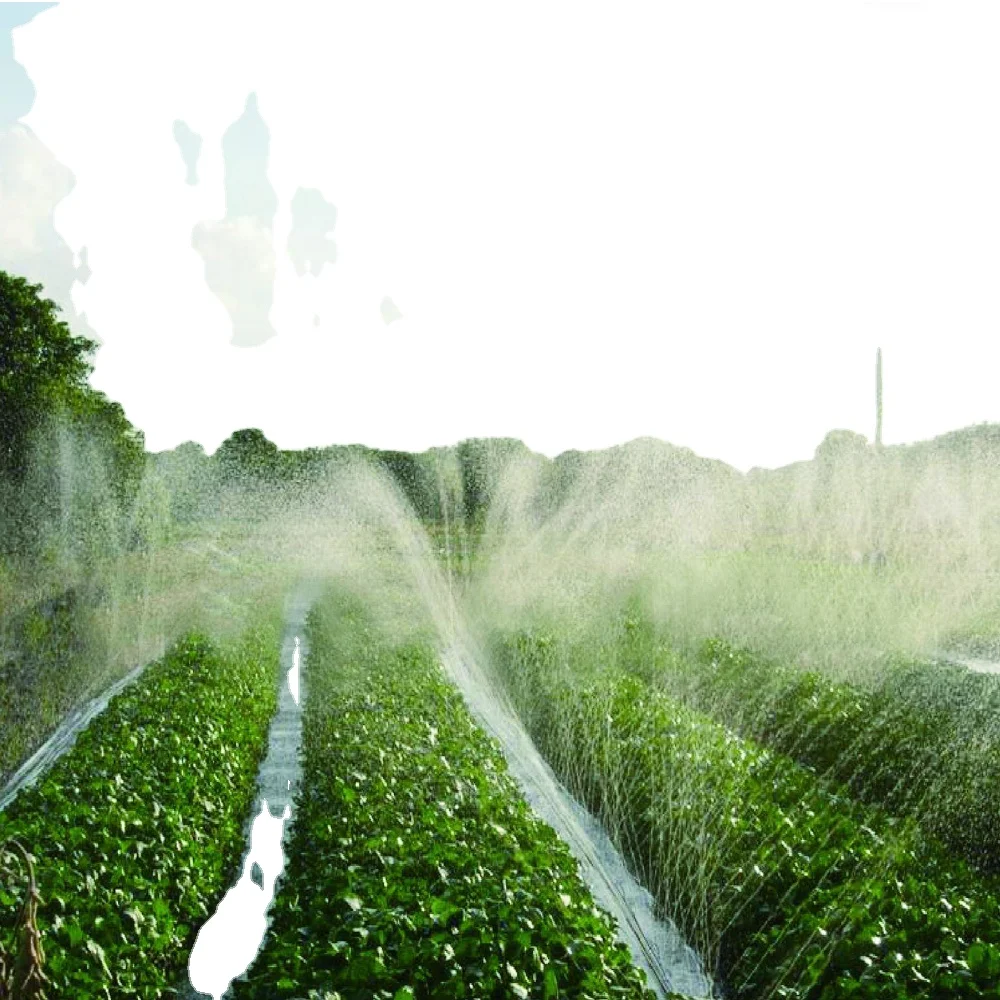 

Irrigation System Rain Hose Rain Spray Tape for Farm and Garden Irrigation micro drip irrigation system, Black
