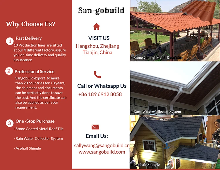 Sangobuild Roofing.jpg