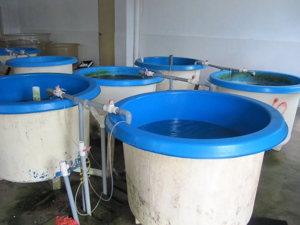 Fiberglass Reinforced Plastic Fish Tank Aquaculture Frp Fish Tank Buy Fiberglass Fish Pool