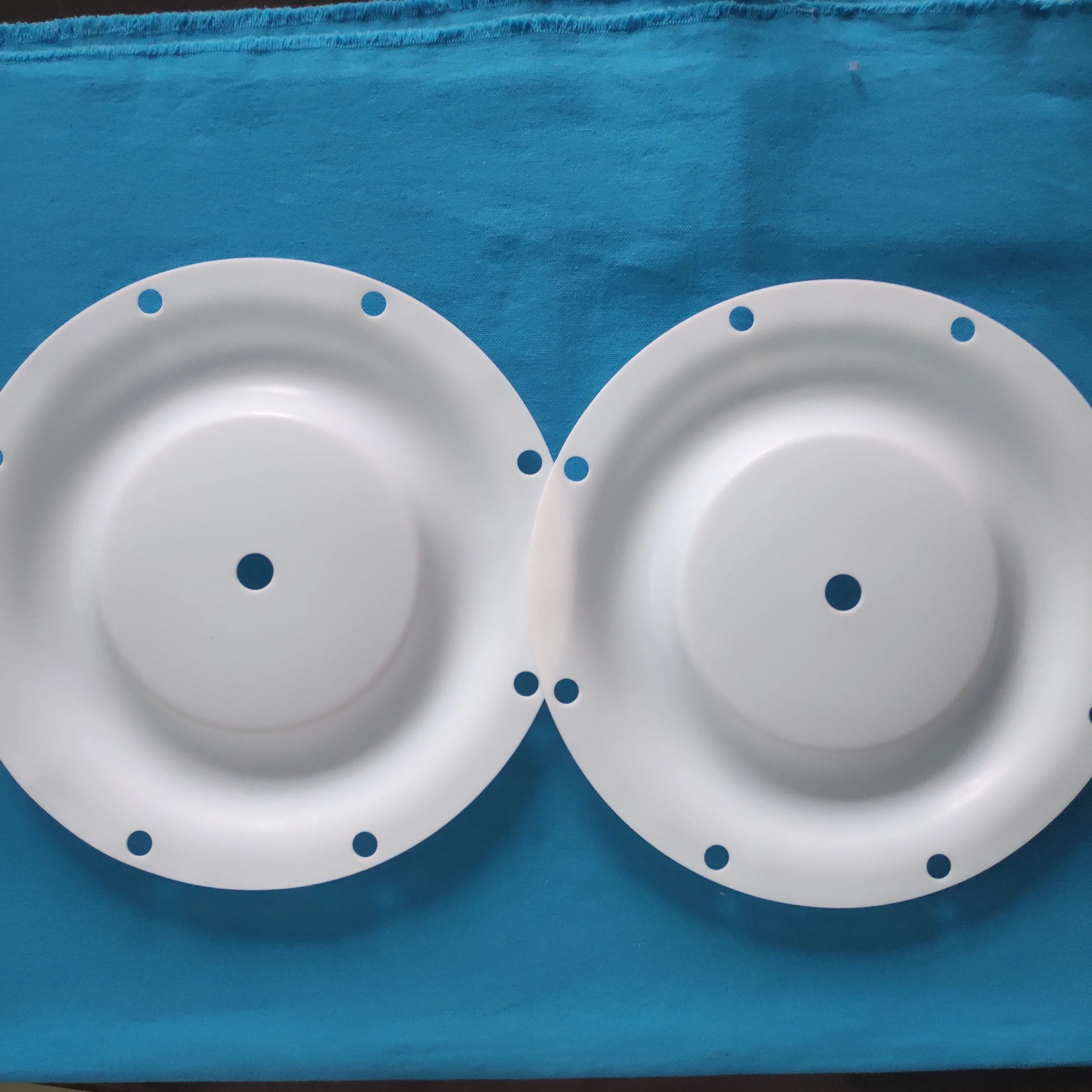 Factory Made Ptfe Diaphragm 286-099-600 For Sandpiper Diaphragm Pump manufacture