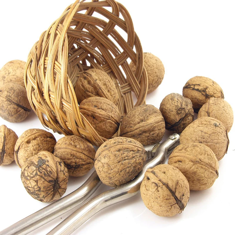 organic walnuts kernel,walnut without shell/walnut meat/walnut