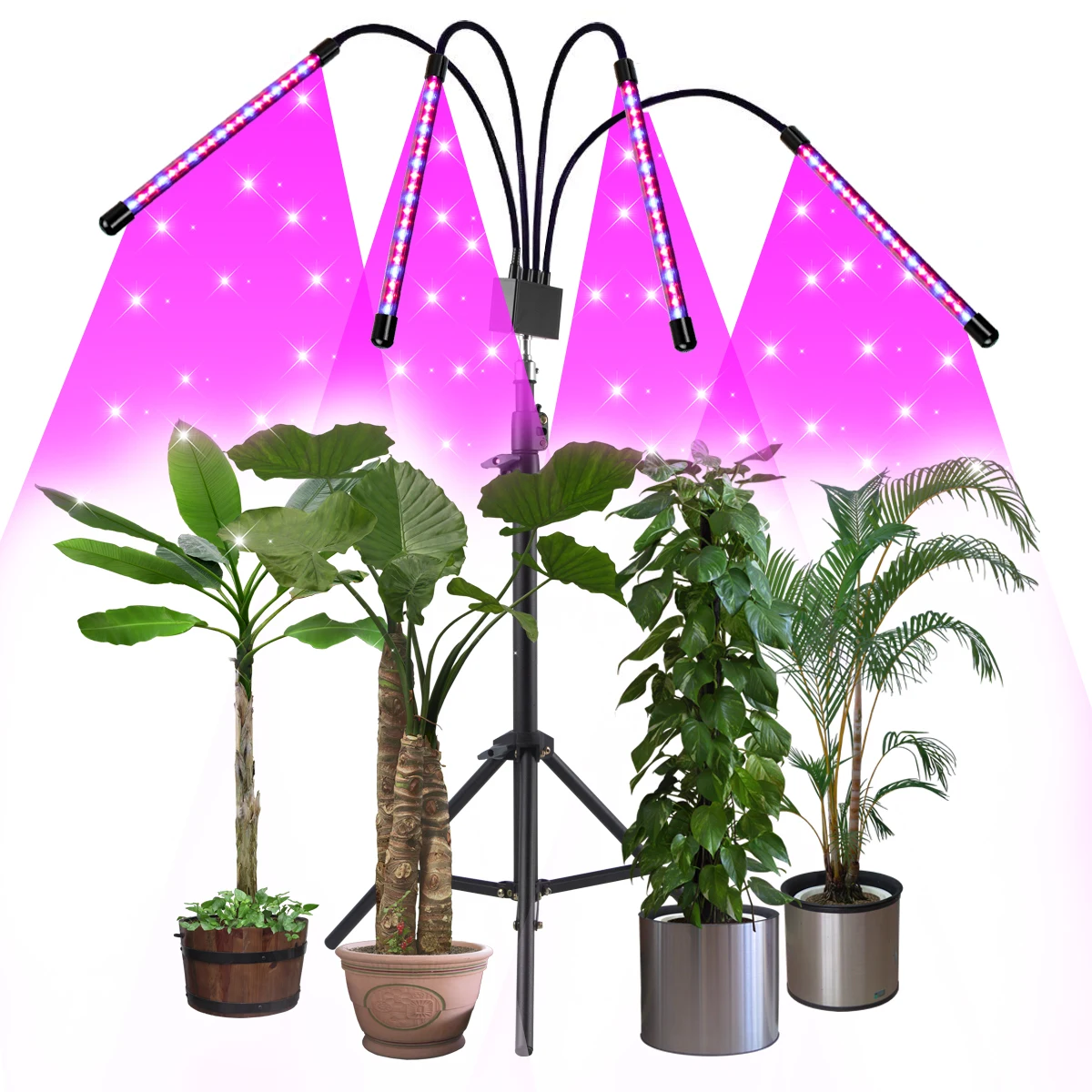 New design 40W/ 80W 360 degree flexible adjustable gooseneck indoor desk hydroponic plant clip grow light for indoor plants