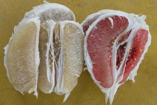 Fresh Honey pomelo 15.jpg