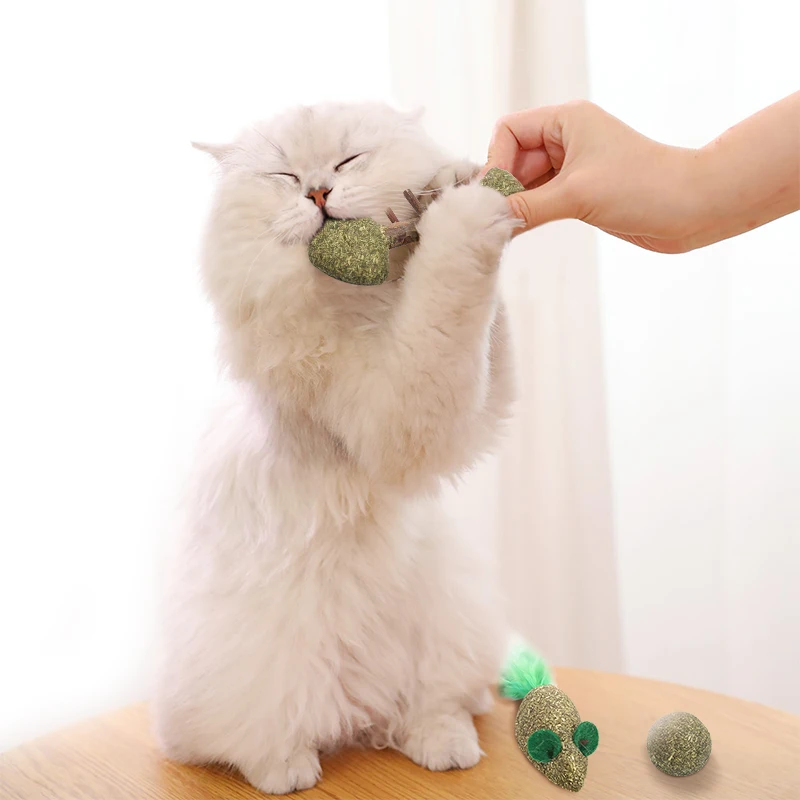 

Natural Cat Catnip Treat Balls Pet Catnip Toys Interactive Mice Mouse Kitten Toys Cats Playing Cleaning Teeth Toy, Mouse/fish/ball