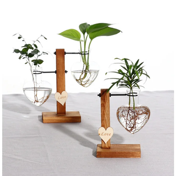 

Transparent glass flowerpot, special for hydroponic flowers and plants