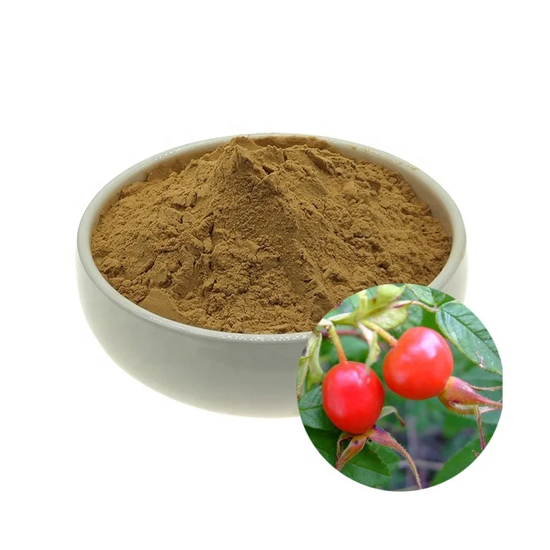 

Natural Prickly Rose Fruit Extract 10:1 Roxburgh Rose Extract Rosehip Powder