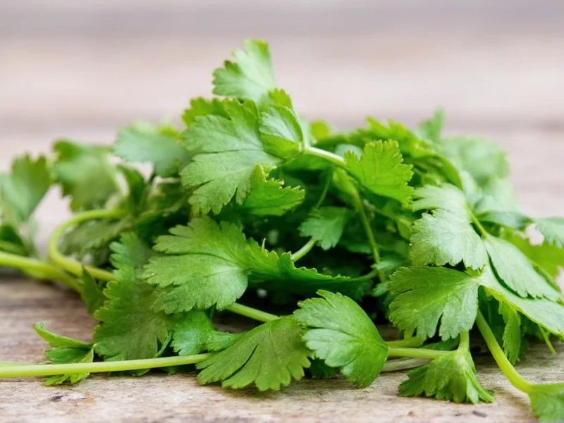 How to Dry Fresh Cilantro: 4 Proven Methods