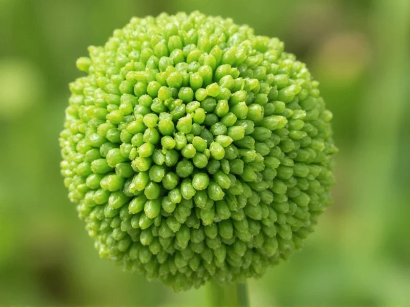 Dill Substitute Guide: Best Replacements for Fresh & Dried Dill