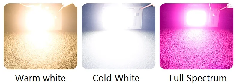 Cold white warm white