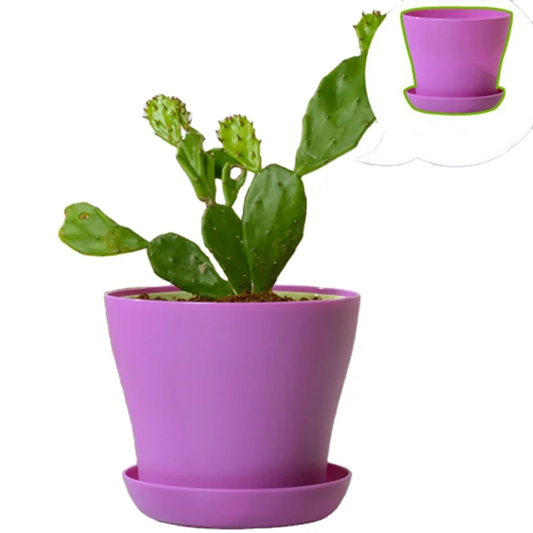 

AAA347 Mini Colorful Cute Round Garden Succulents Pot Plant Office Home Desktop Flowerpots Plastic Flower Pot with Tray, 8 colors