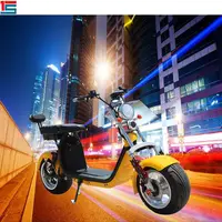 

Hot selling electric motorcycle scooter removable battery 3000W removable battery citycoco