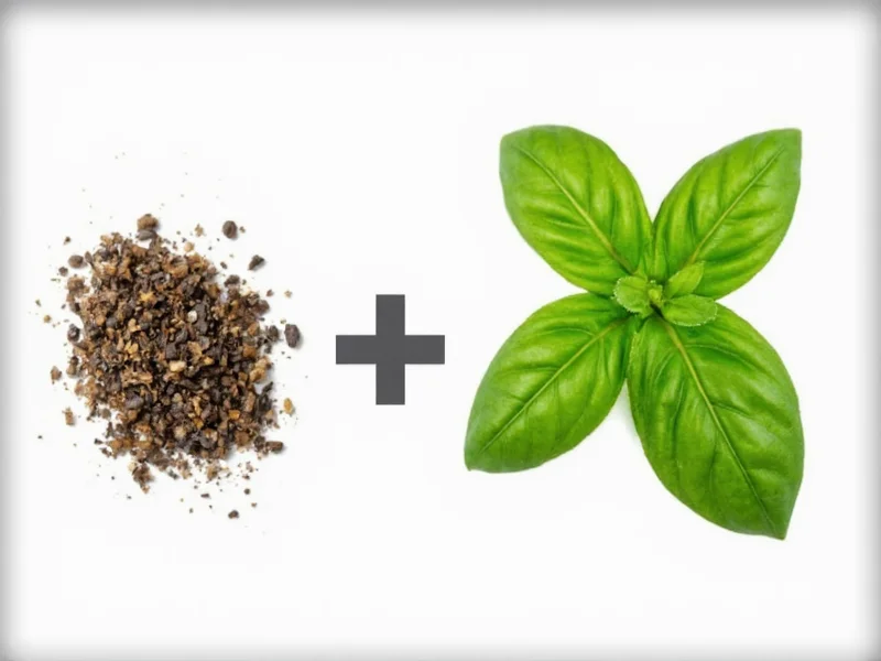 Dry Basil to Fresh Basil Conversion: Exact Ratio Guide