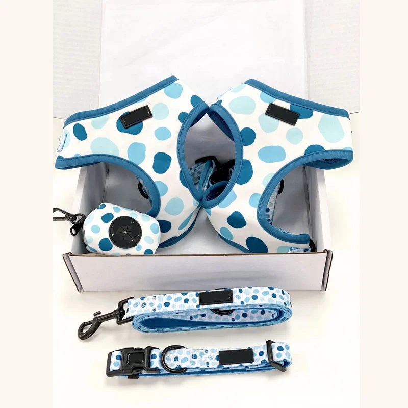 

2021 New Oem Wholesale Personalized Small Designer Mesh Vest Soft Dog Harness And Leash Set