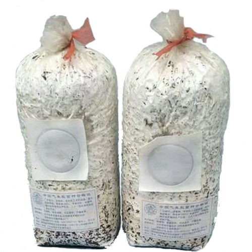 

High temperature resistant breathable plastic bag for mushroom spawn cultivate