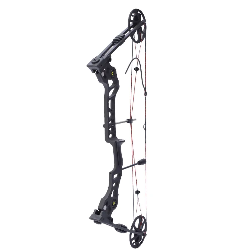 

Dual purpose composite pulley bow and arrow archery steel ball bow fishing and hunting adjustable scale