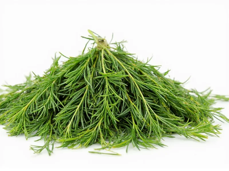 Practical Uses for Dill Seeds: Beyond Basic Seasoning